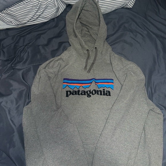 Patagonia Other - Patagonia Gray Hoodie with Blue and Red Accents